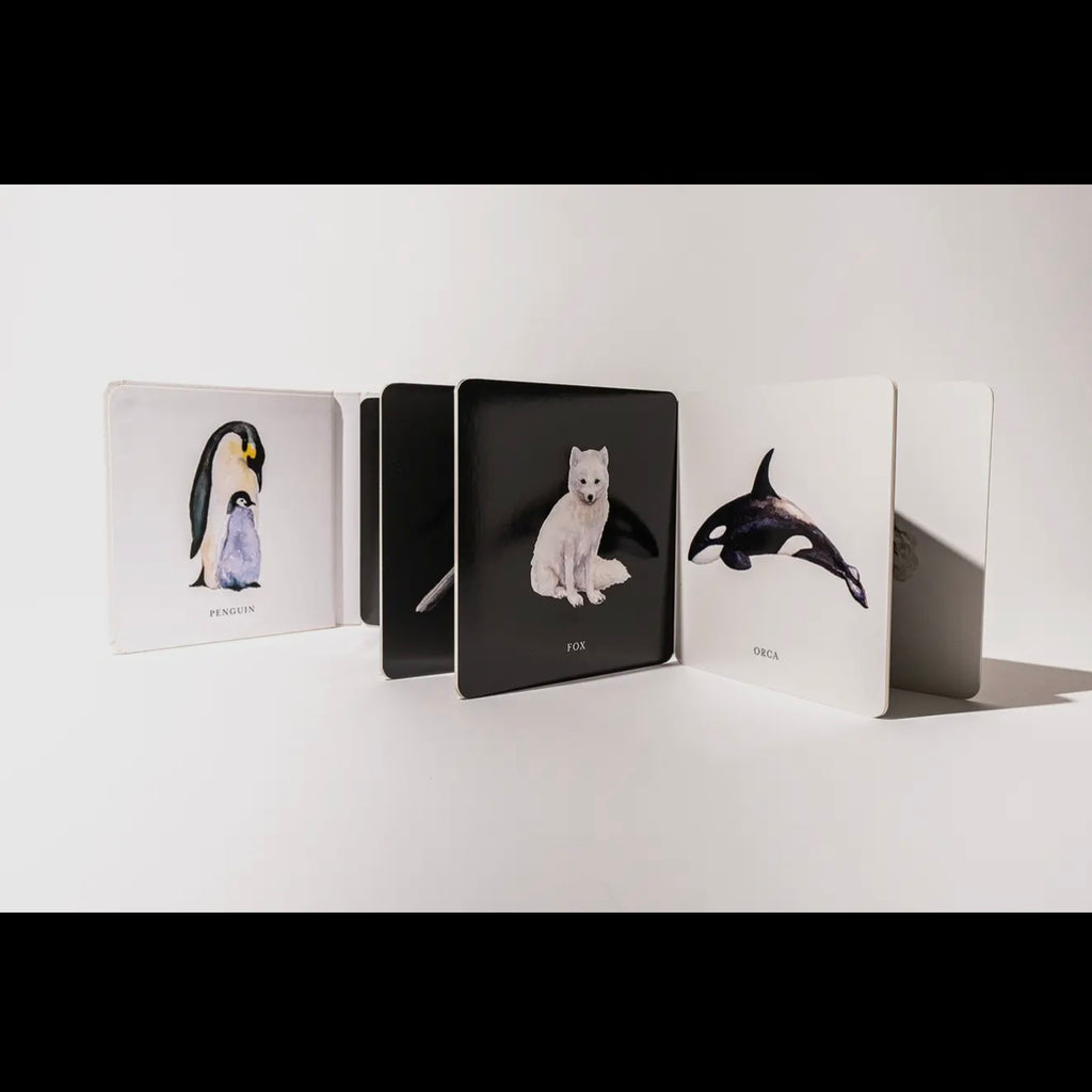 Black & White Contrast Book