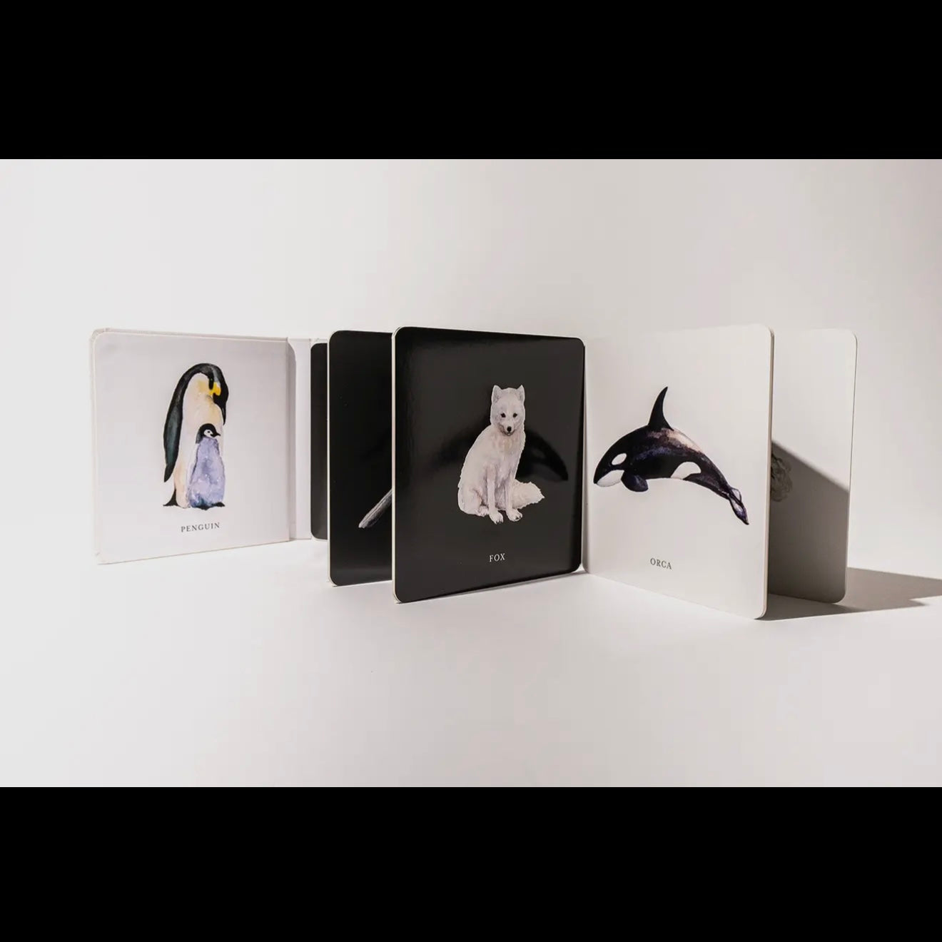 Black & White Contrast Book