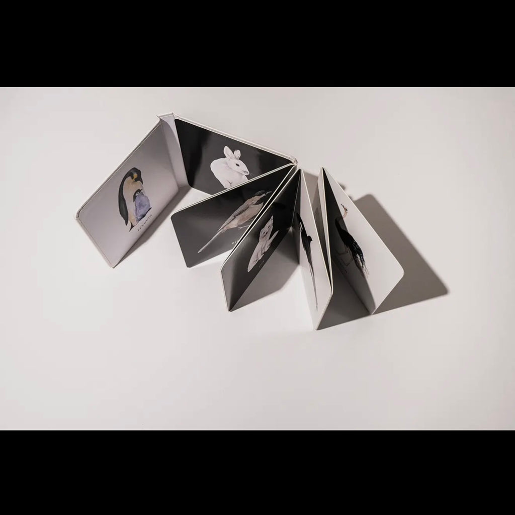 Black & White Contrast Book