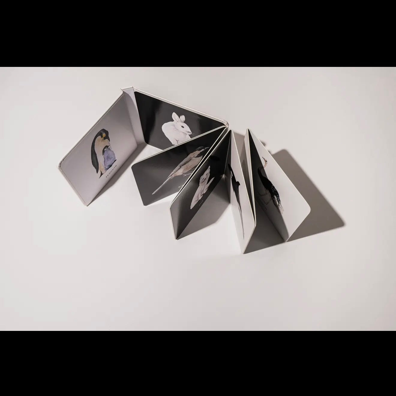 Black & White Contrast Book