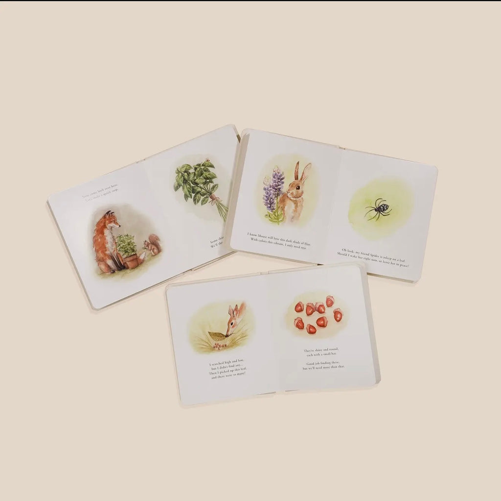 Our Little Adventures Board Book Set