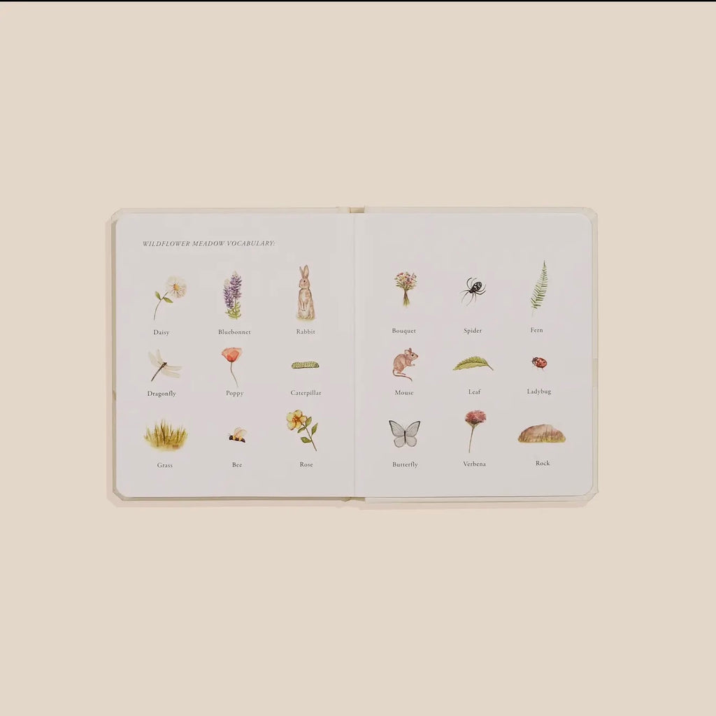 Our Little Adventures Board Book Set
