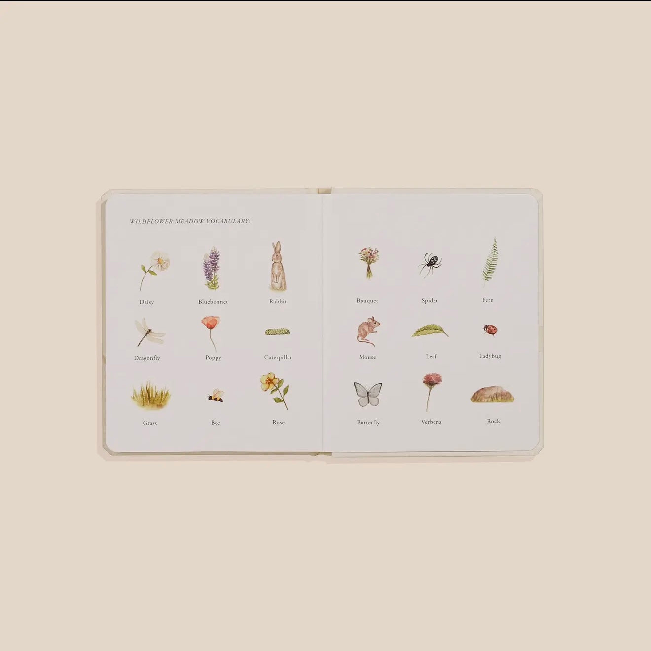 Our Little Adventures Board Book Set