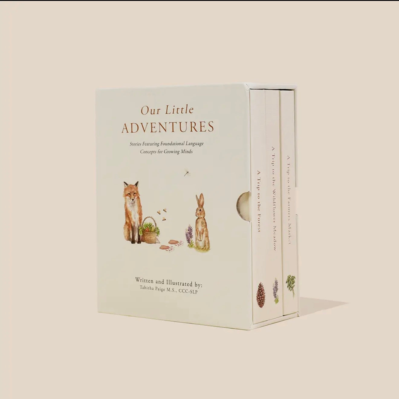 Our Little Adventures Board Book Set