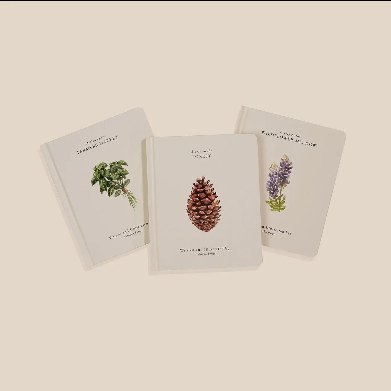 Our Little Adventures Board Book Set