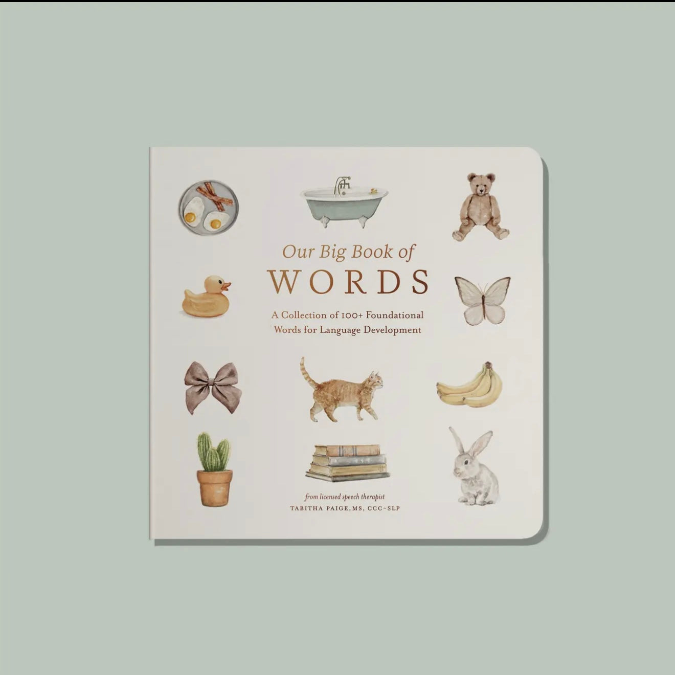 Our Big Book of First Words