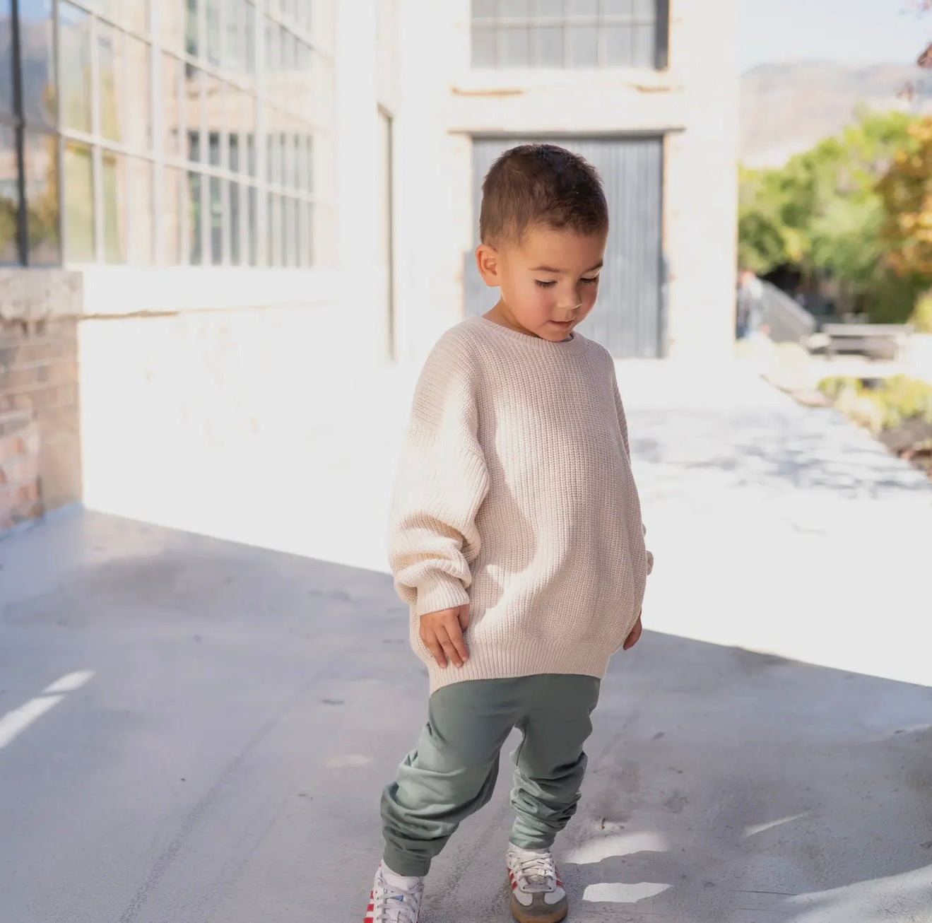 Chunky Knit Oversized Sweater