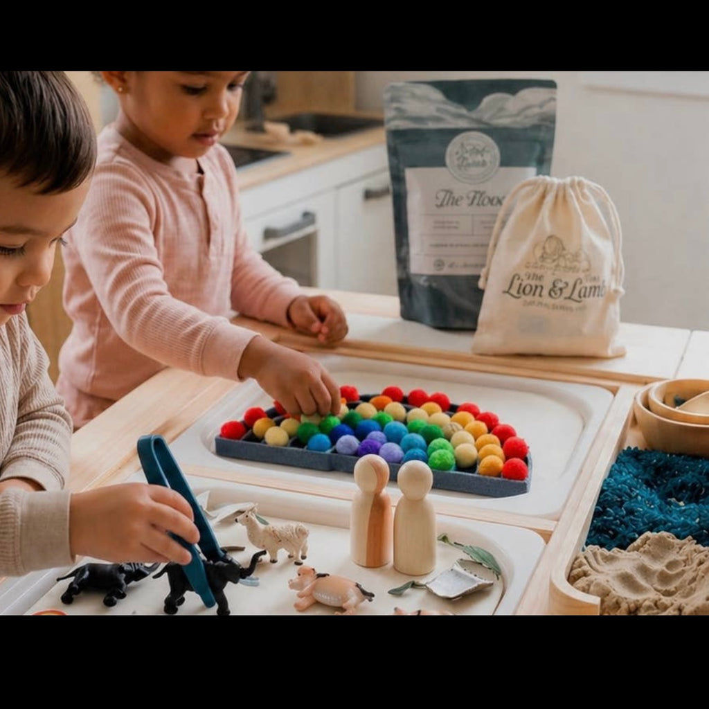 Noah’s Ark Sensory Storybox